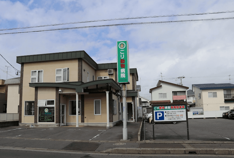 ごり動物病院