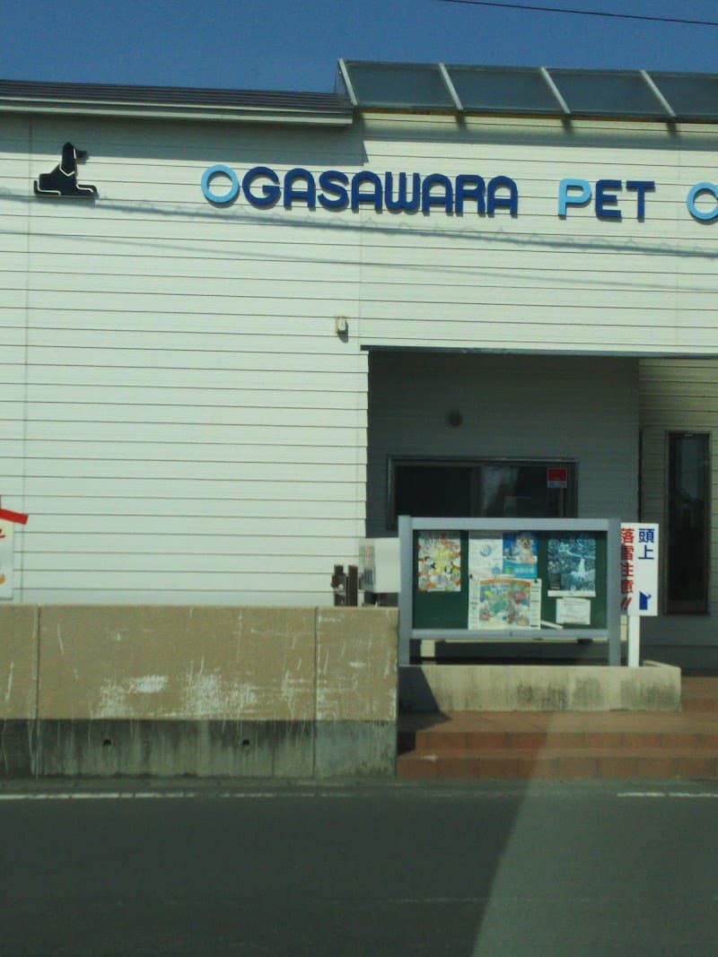 小笠原犬猫病院