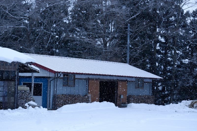 とりやべ動物病院