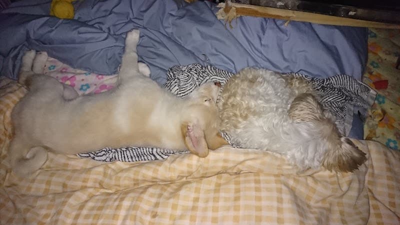 おとも動物病院