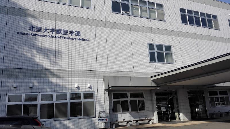 北里大学獣医学部附属動物病院