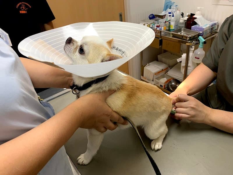 あおば動物病院