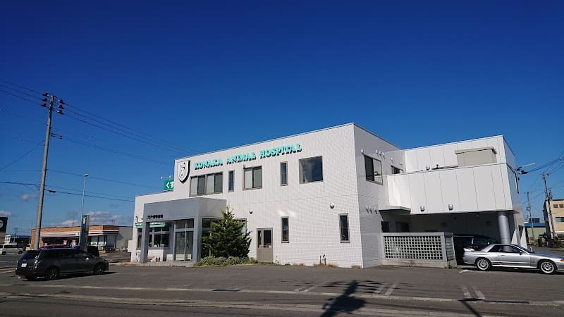 こなか動物病院