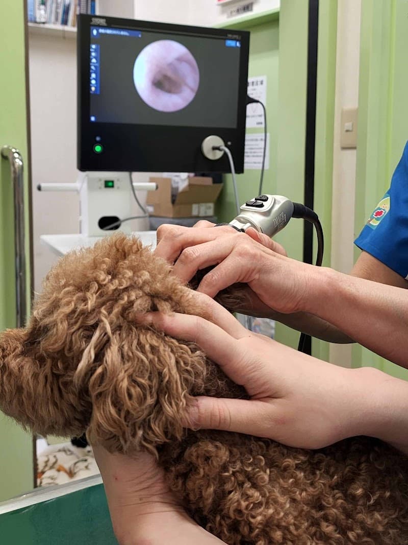 アスヒ動物病院