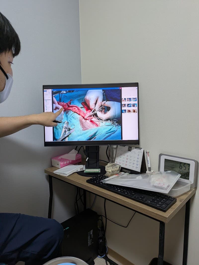 ヨッシー動物病院弘前