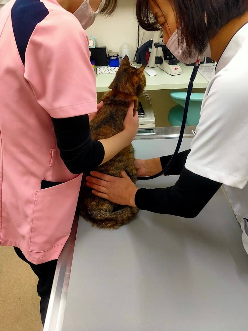 めざわ動物病院