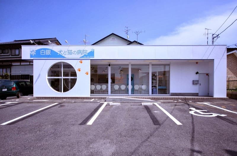 白銀犬と猫の病院