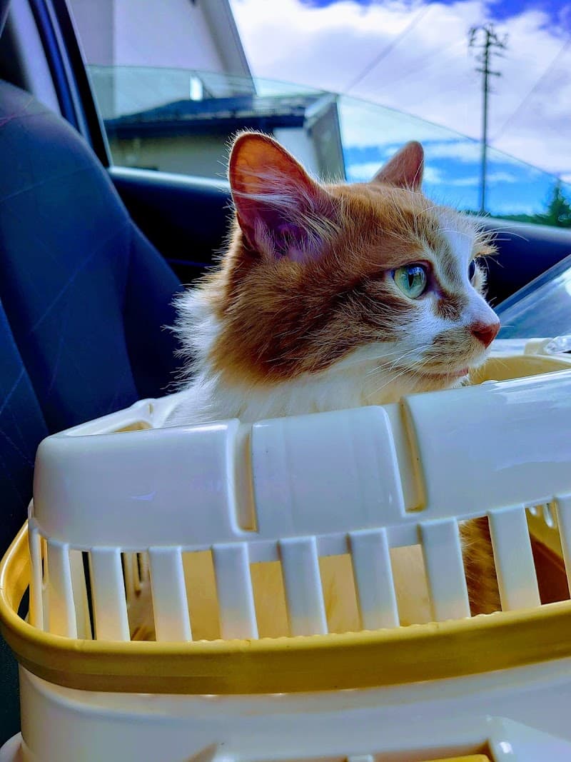 ペット往診センター