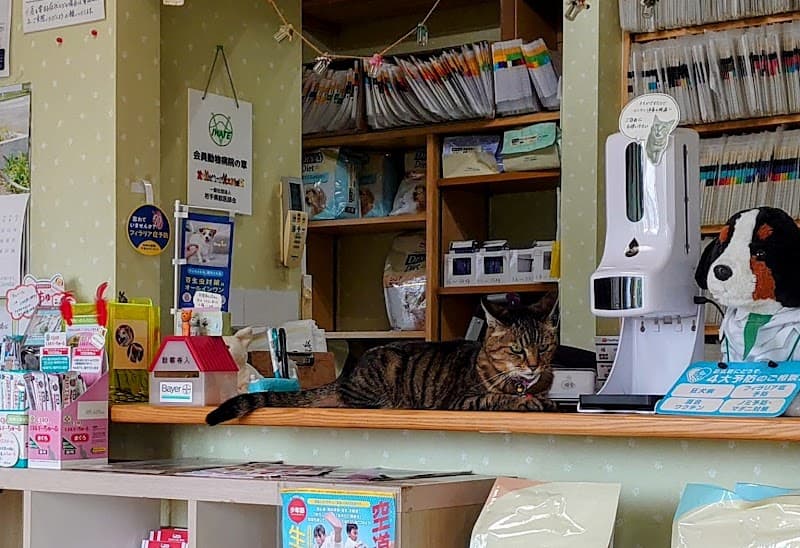 けやき並木動物病院