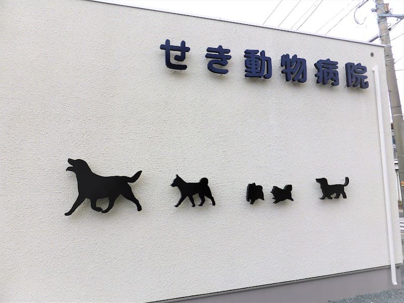 せき動物病院