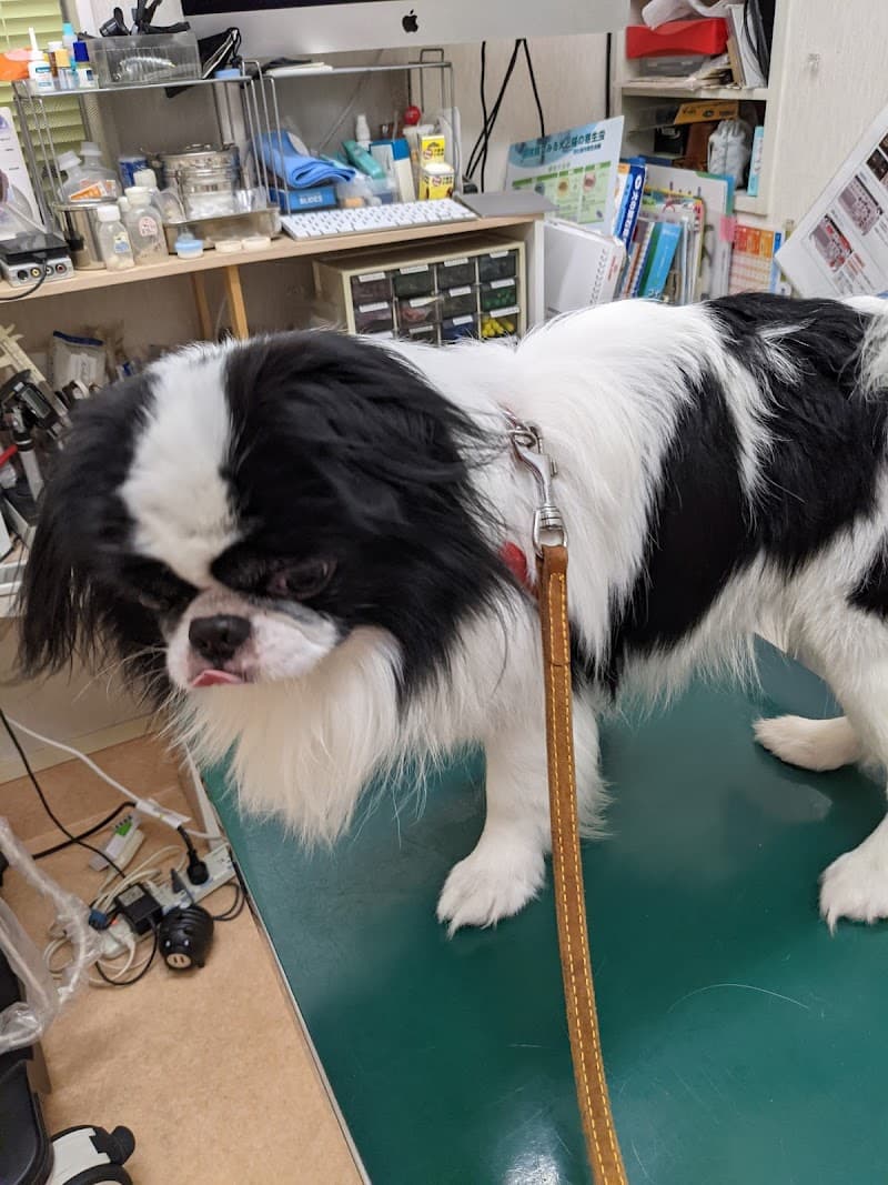 加賀野どうぶつ病院
