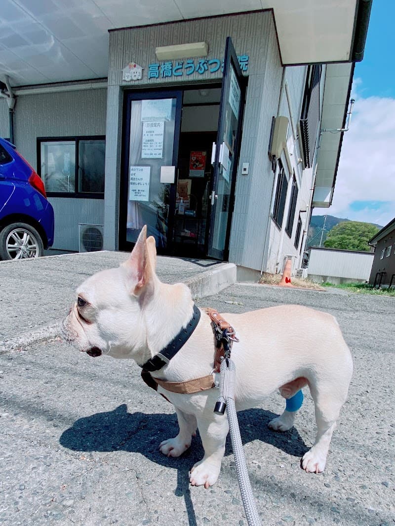 高橋どうぶつ病院