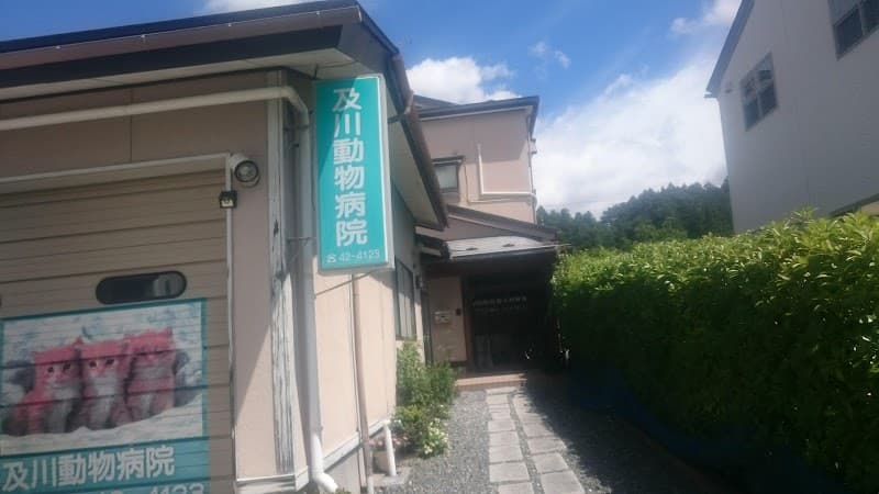 及川動物病院