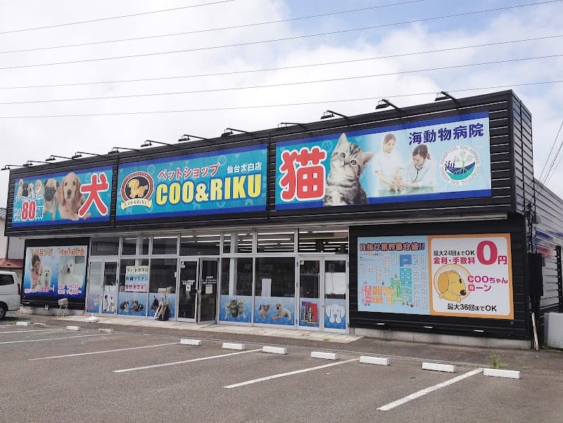 海動物病院 仙台太白往診所