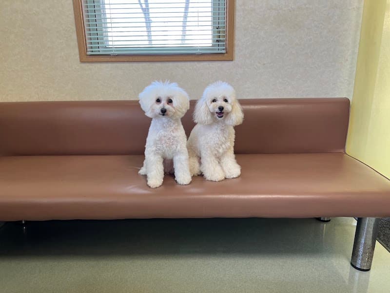 メル犬猫クリニック