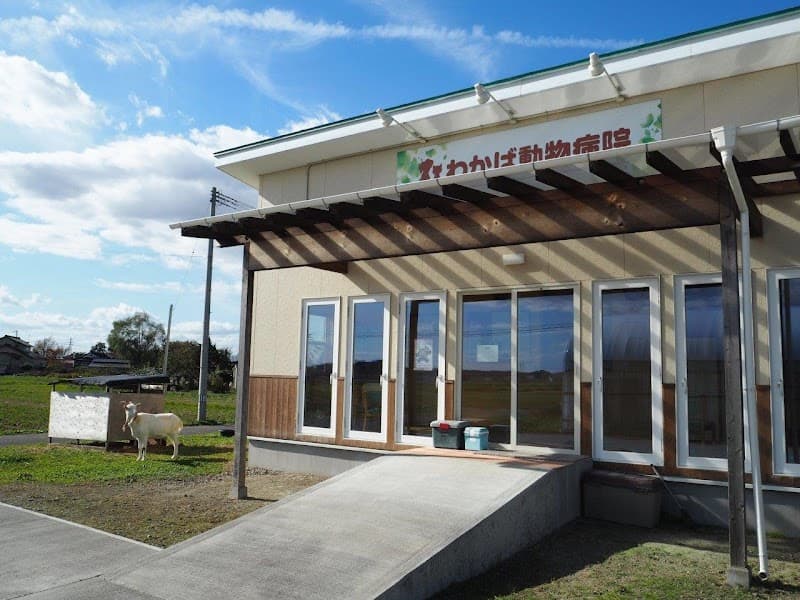 わかば動物病院
