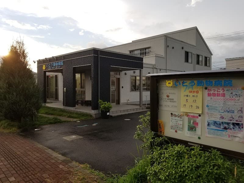 いとう動物病院