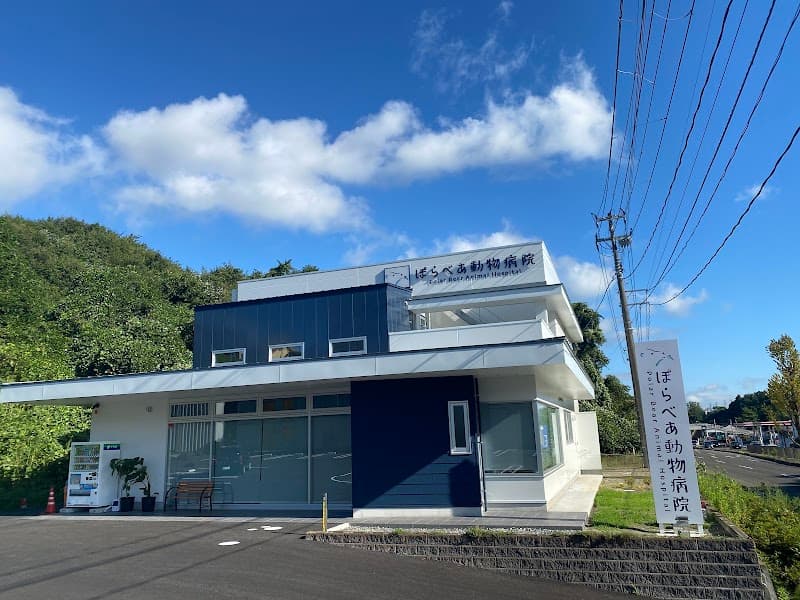 ぽらべあ動物病院