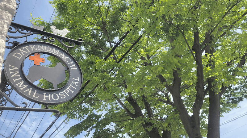伊達の街どうぶつ病院