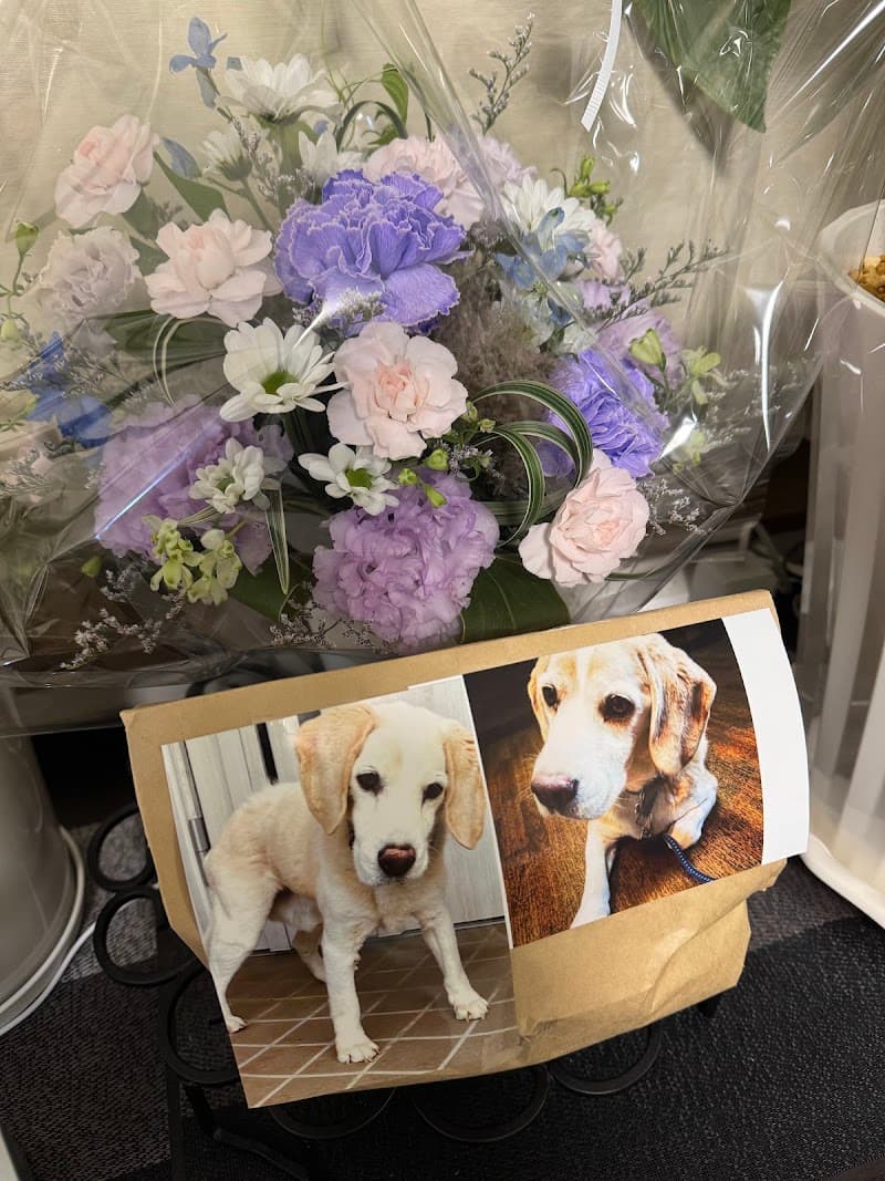 ぐりーむ動物病院