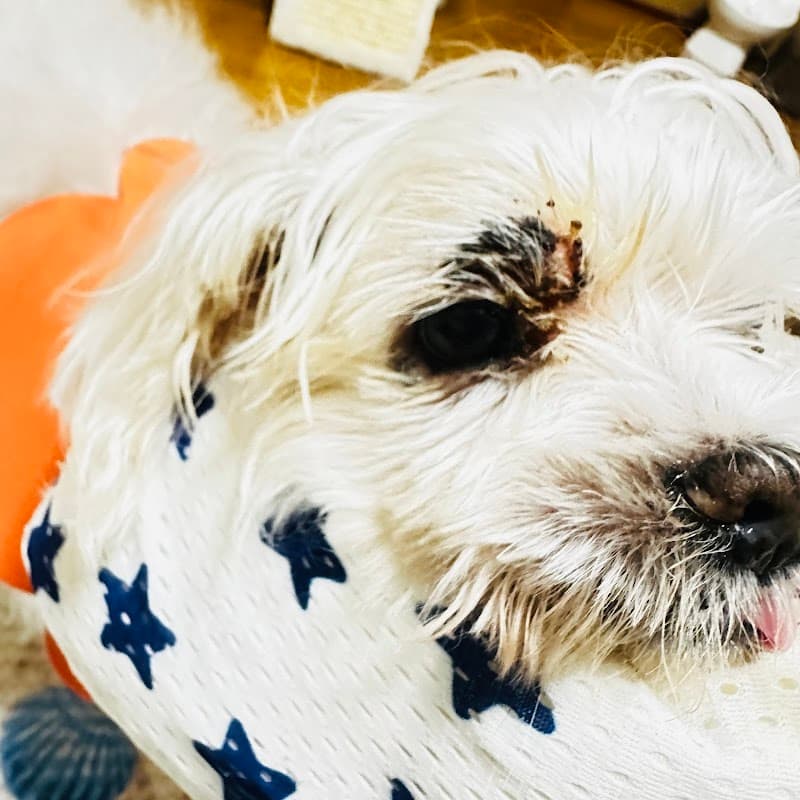 ヒロアニマルクリニック