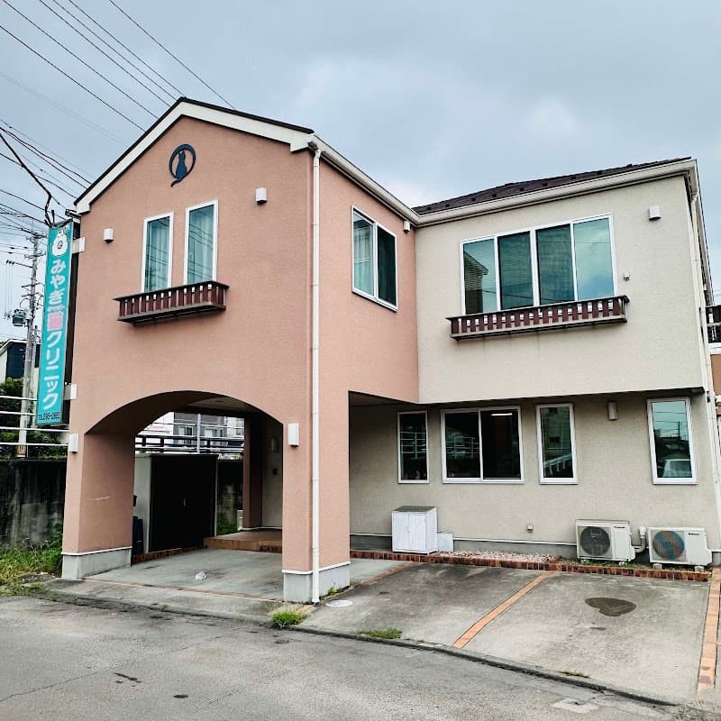 みやぎキャットクリニック