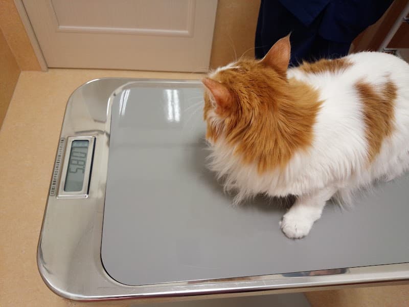 ウィル動物病院