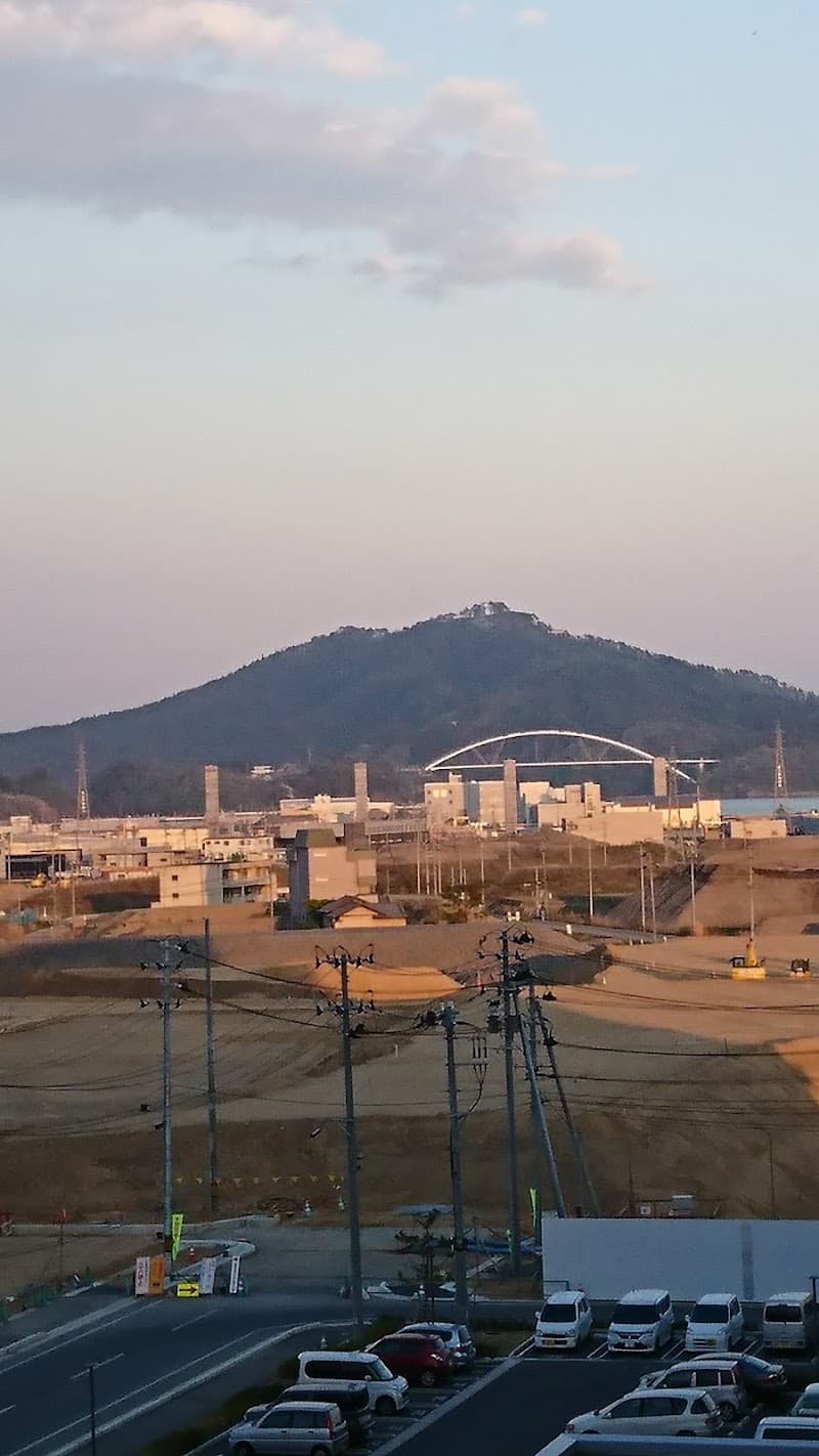 藤村犬猫病院