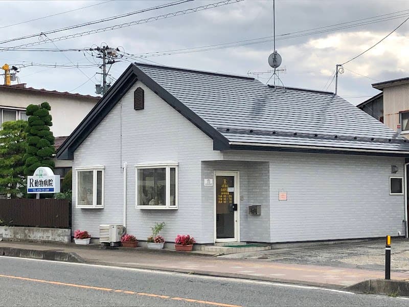 R動物病院