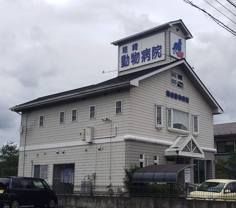 箱崎動物病院