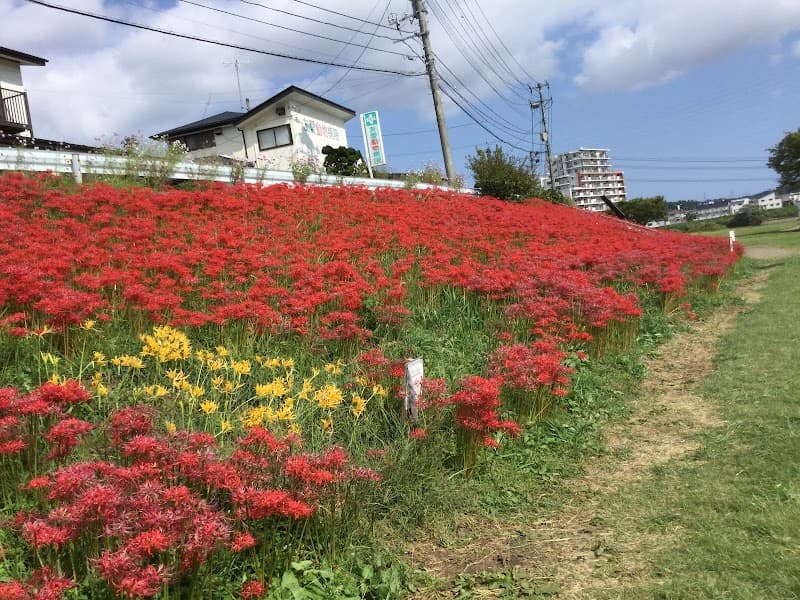 友愛動物病院