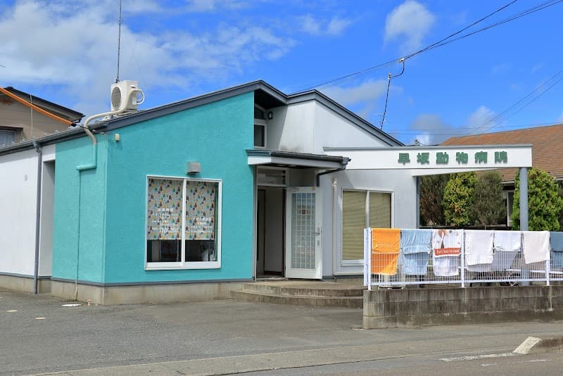 早坂動物病院