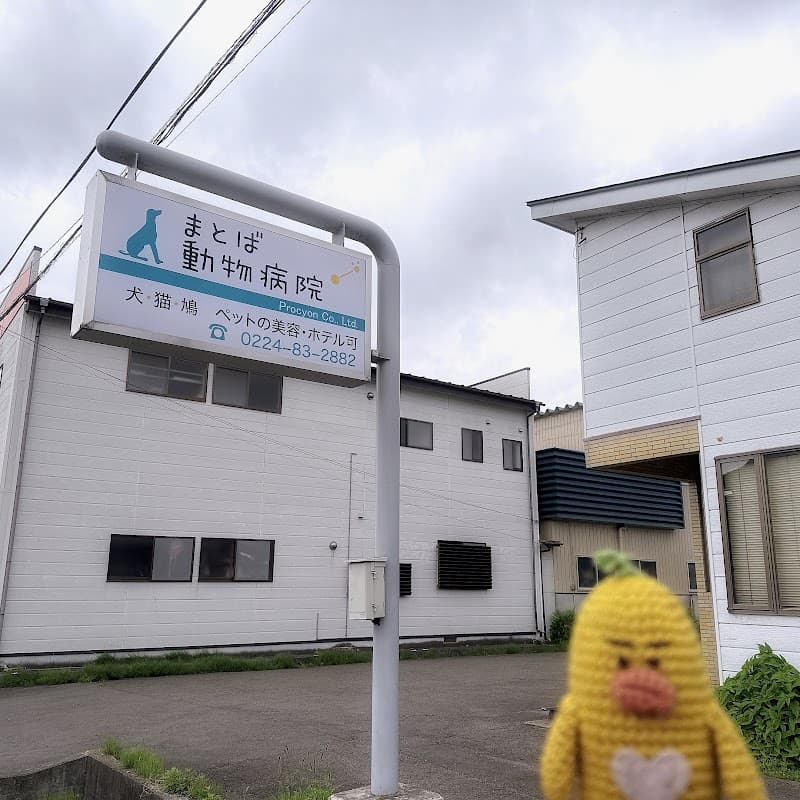 的場動物病院