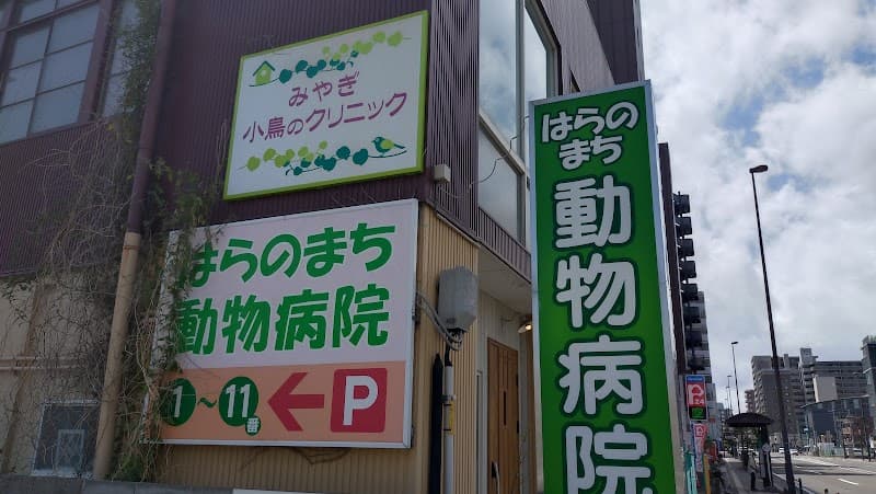 みやぎ小鳥のクリニック