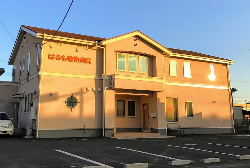 はるも動物病院