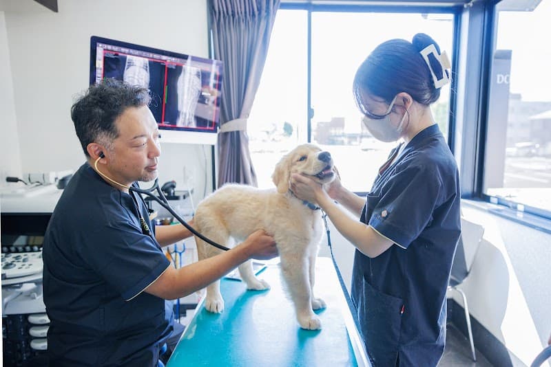 犬猫専門動物病院 ドッグ&キャットホスピタル ガルファー