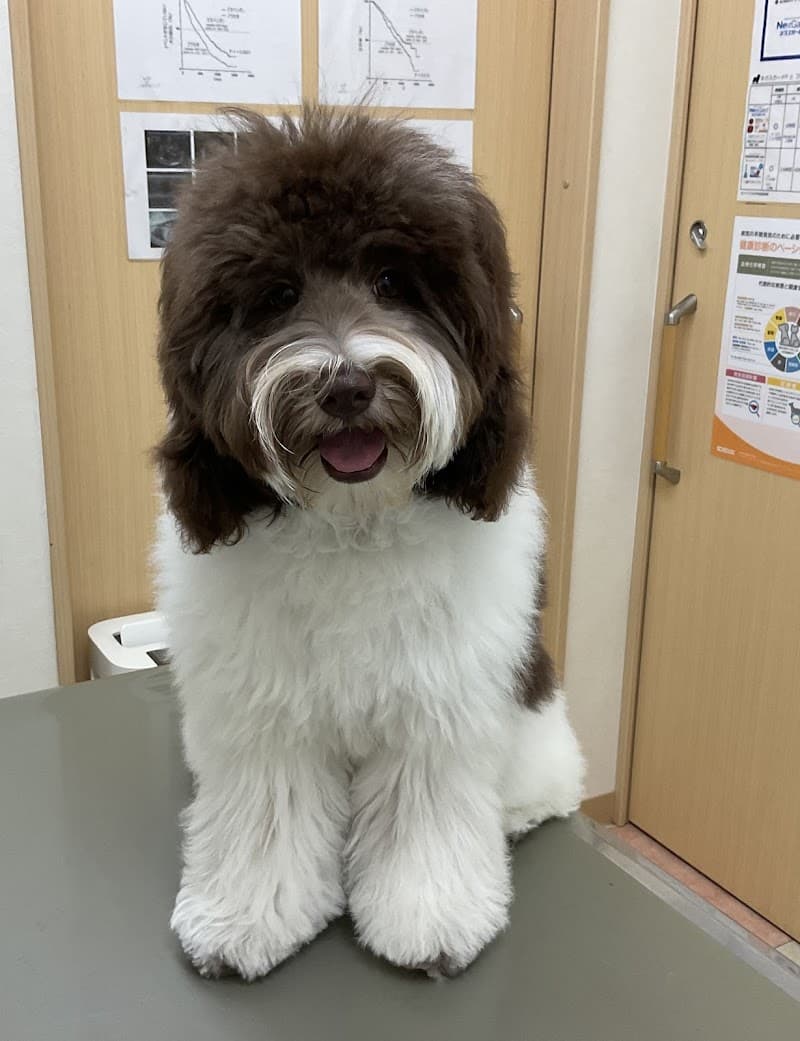 よしなり動物病院