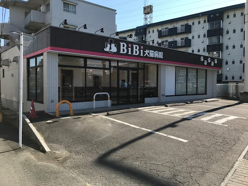 BiBi犬猫病院