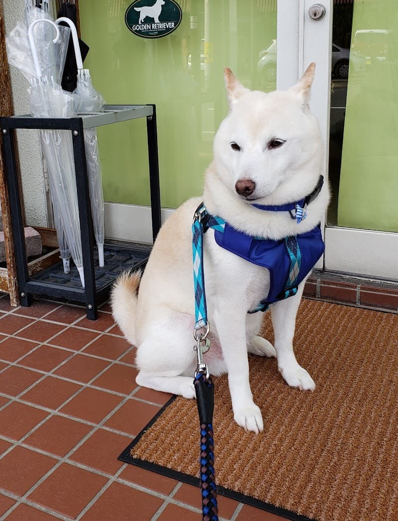 パセリ動物病院