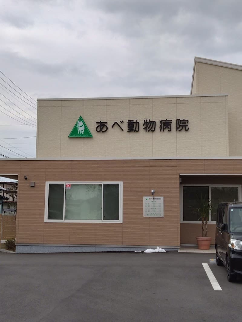 あべ動物病院