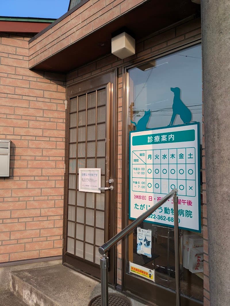 たがじょう動物病院