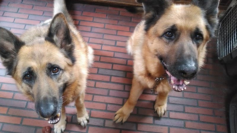 ソルト動物病院