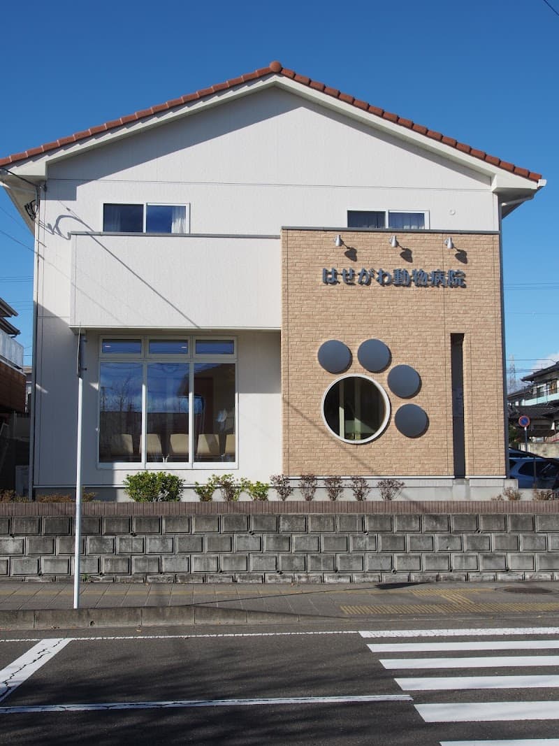 はせがわ動物病院