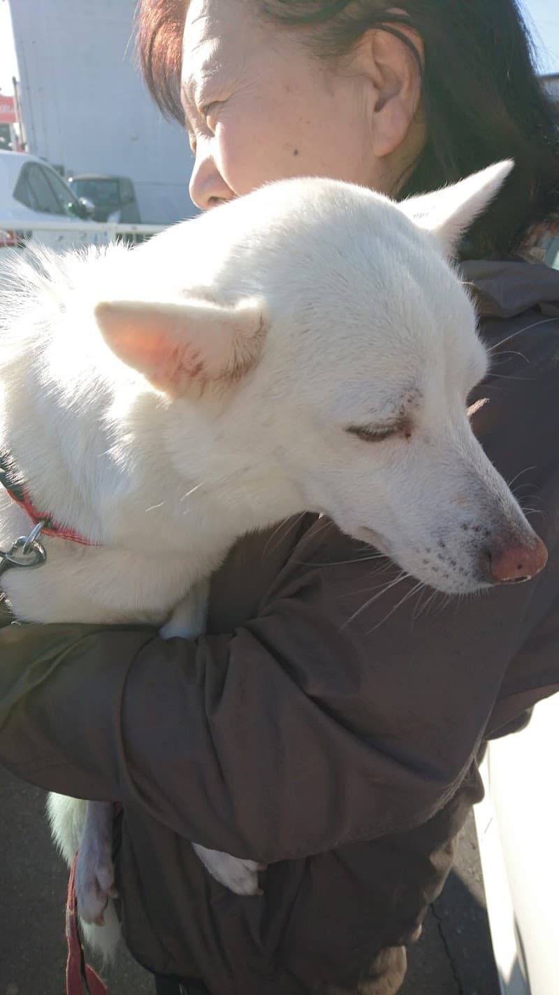 ひいらぎ動物病院