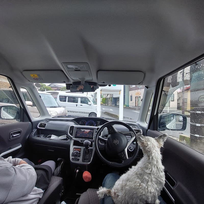 わたなべ動物病院