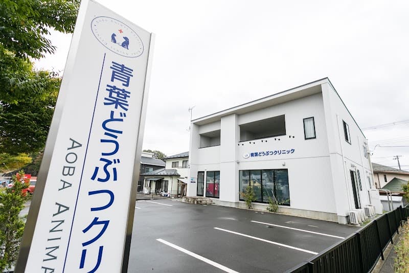 青葉どうぶつクリニック