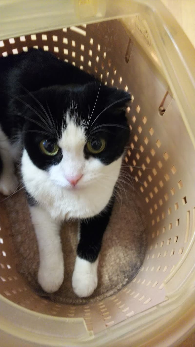 アウル動物病院