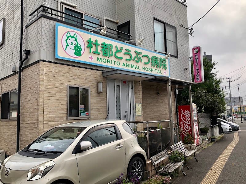 杜都どうぶつ病院