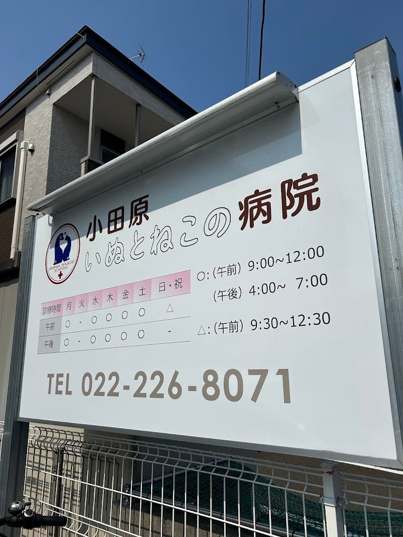 小田原いぬとねこの病院
