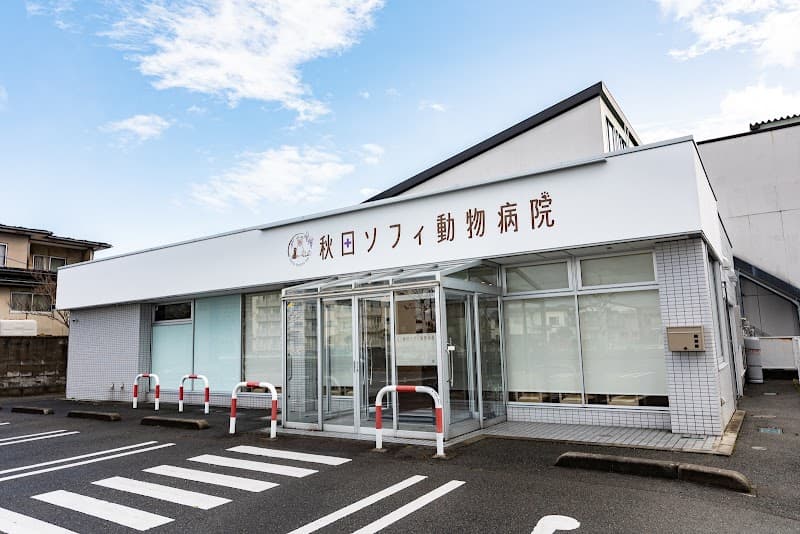 秋田ソフィ動物病院